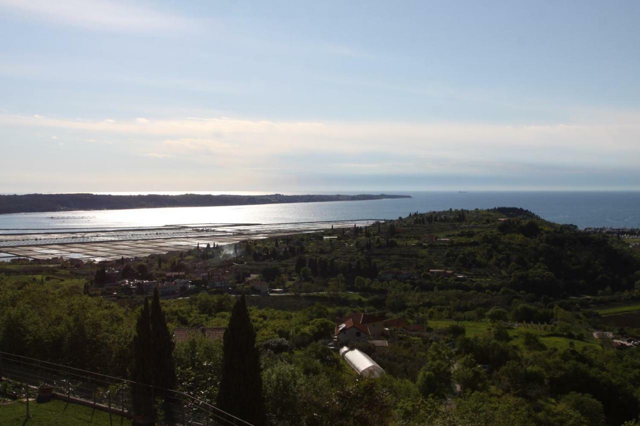Apartma Viktorija Πορτορόζ Εξωτερικό φωτογραφία